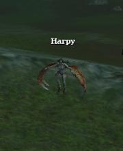 Harpy