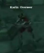 Karin Overseer