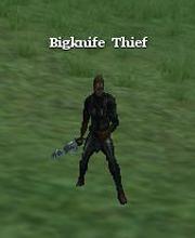 Bigknife Thief
