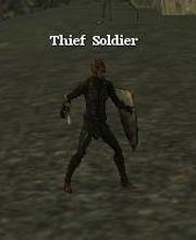 Thief Soldier