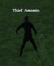 Thief Assassin