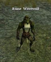 Rune Werewolf