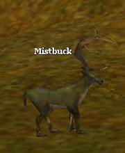 Mistbuck