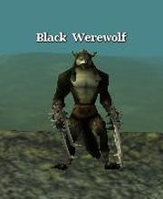 Black Werewolf
