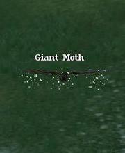 Giant Moth