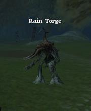 Rain Torge