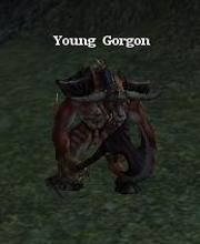 Young Gorgon