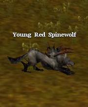 Young Red Spinewolf