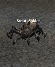Scout Spider