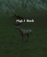 Night Buck