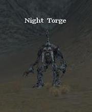 Night Torge
