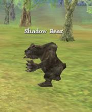 Shadow Bear