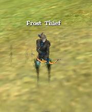 Frost Thief