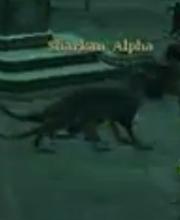 Sharkan Alpha