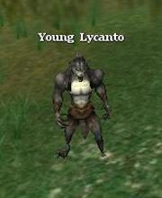 Young Lycanto