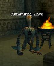 Mummified Slave