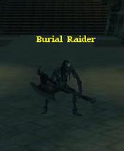 Burial Raider