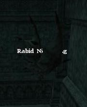 Rabid Nightwing