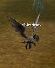 Whitedran
