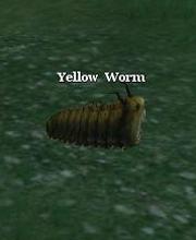 Yellow Worm