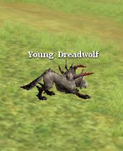 Young Dreadwolf
