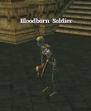 Bloodborn Soldier