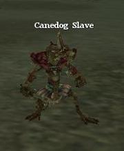 Canedog Slave