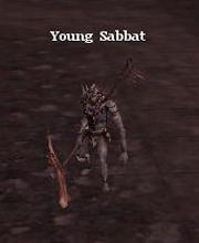 Young Sabbat