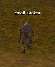 Small Broken