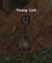 Young Lich