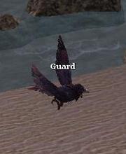 Guardian Crow