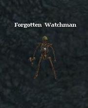 Forgotten Watchman