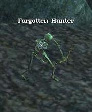 Forgotten Hunter