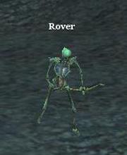Rover