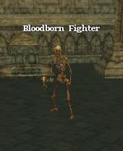 Bloodborn Fighter