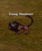 Young Manticore