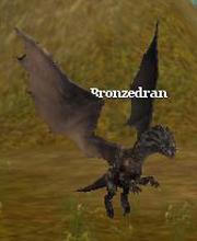Bronzedran