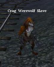 Crag Werewolf Slave