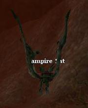 Vampire Bat