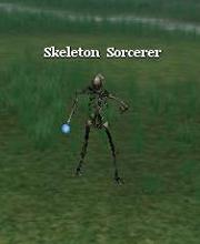 Skeleton Sorcerer