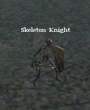 Skeleton Knight