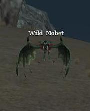 Wild Mobet