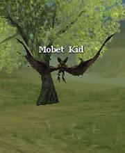 Mobet Kid