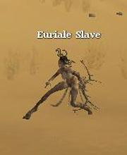 Euriale Slave