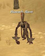 Pharaoh Slave