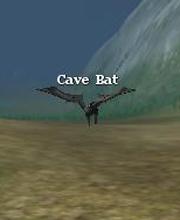Cave Bat