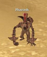Pharaoh