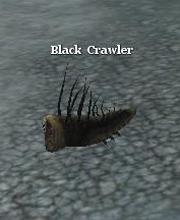 Black Crawler