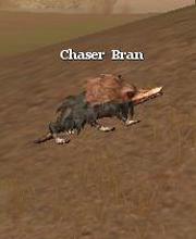 Chaser Bran