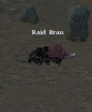 Raid Bran